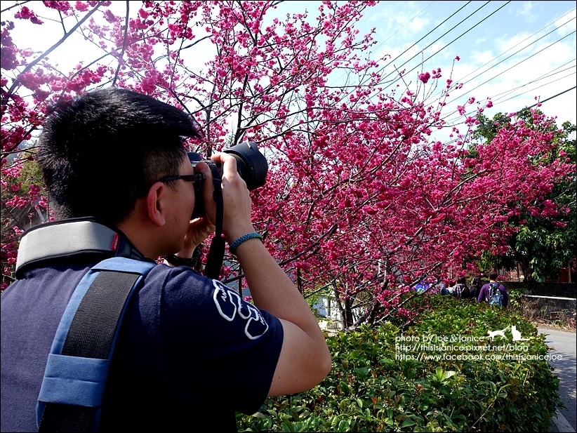 DSC03397.JPG DSC03397.JPG