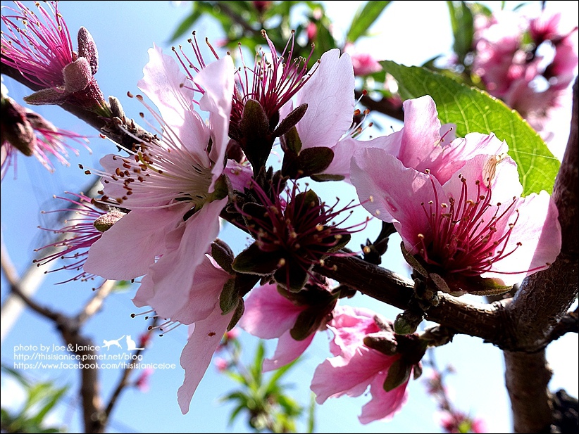 DSC03401.JPG DSC03401.JPG