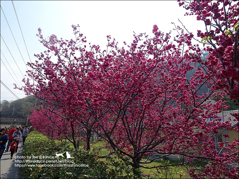 DSC03396.JPG DSC03396.JPG