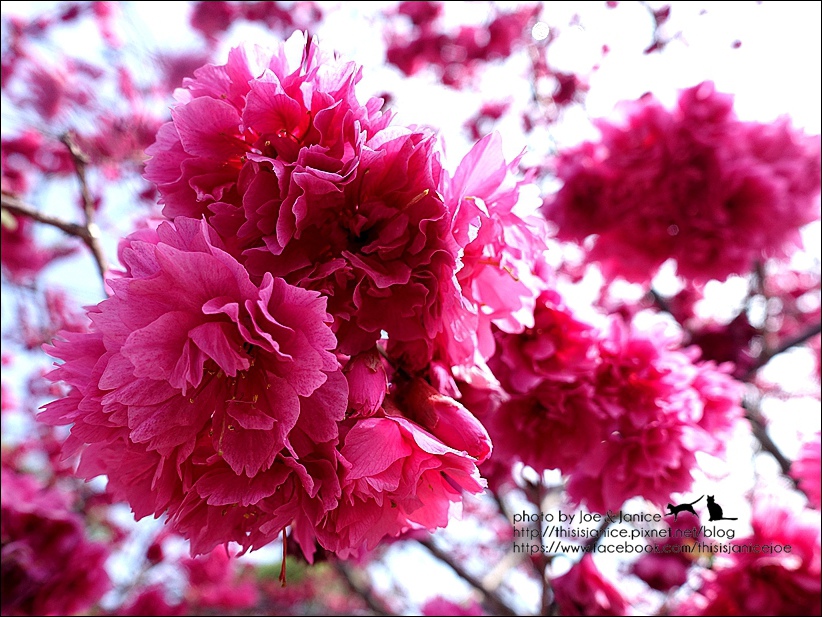 DSC03379.JPG DSC03379.JPG