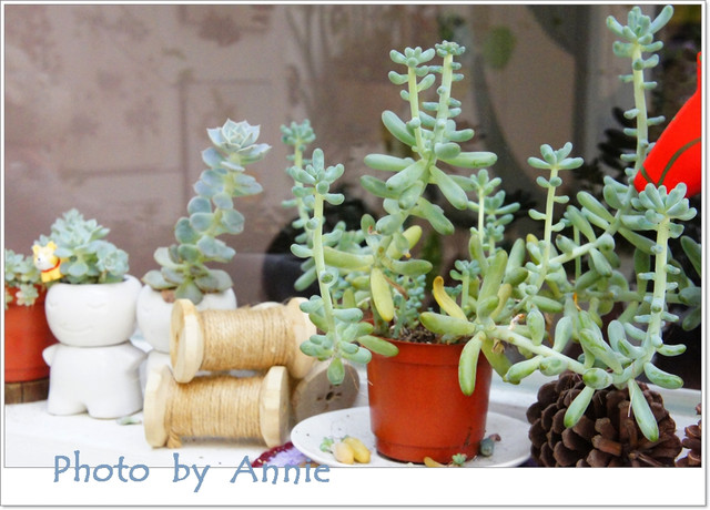 [小散漫 c'est si bon]~充滿手作風情的雜貨小店