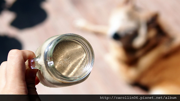 貓茶町:【食記】《貓茶町》文山區特色茶甜點 貓茶町:【食記】《貓茶町》文山區特色茶甜點