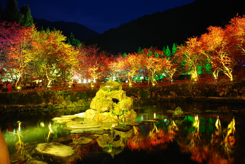 ◈南投◈ⓜ2009九族夜櫻季ⓜ