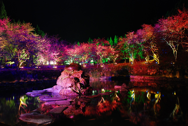 ◈南投◈ⓜ2009九族夜櫻季ⓜ