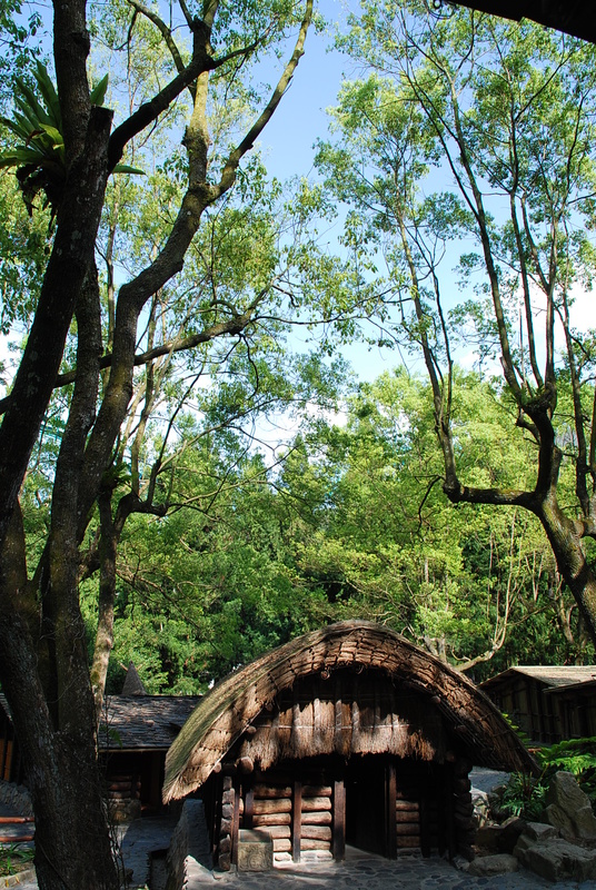 ◈南投◈ⓜ2009九族夜櫻季ⓜ