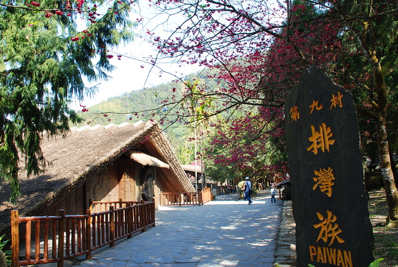 ◈南投◈ⓜ2009九族夜櫻季ⓜ