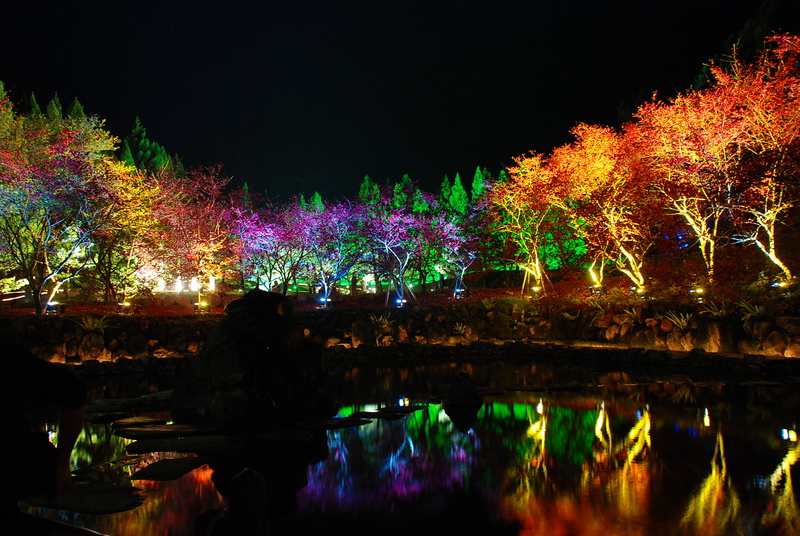 ◈南投◈ⓜ2009九族夜櫻季ⓜ