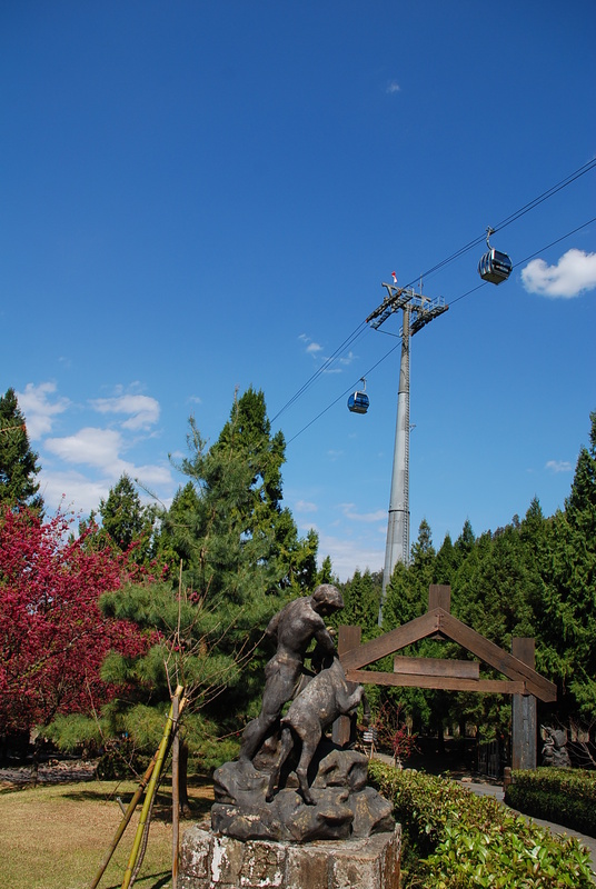 ◈南投◈ⓜ2009九族夜櫻季ⓜ