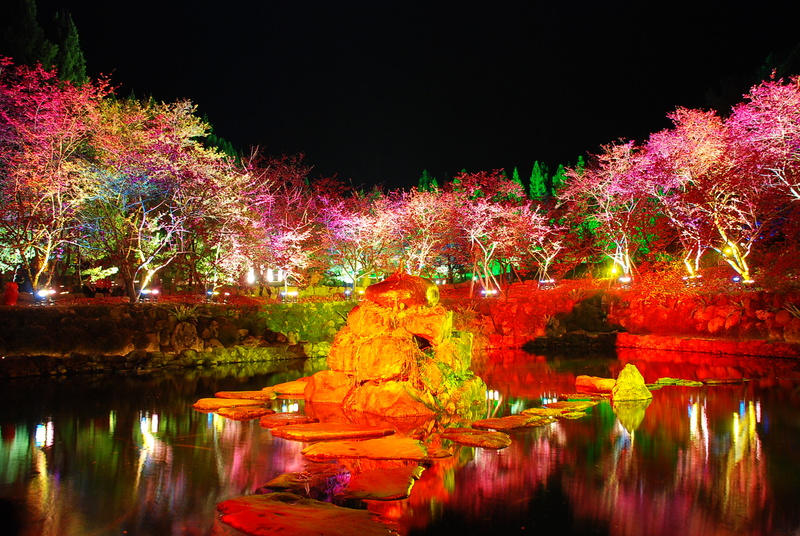 ◈南投◈ⓜ2009九族夜櫻季ⓜ