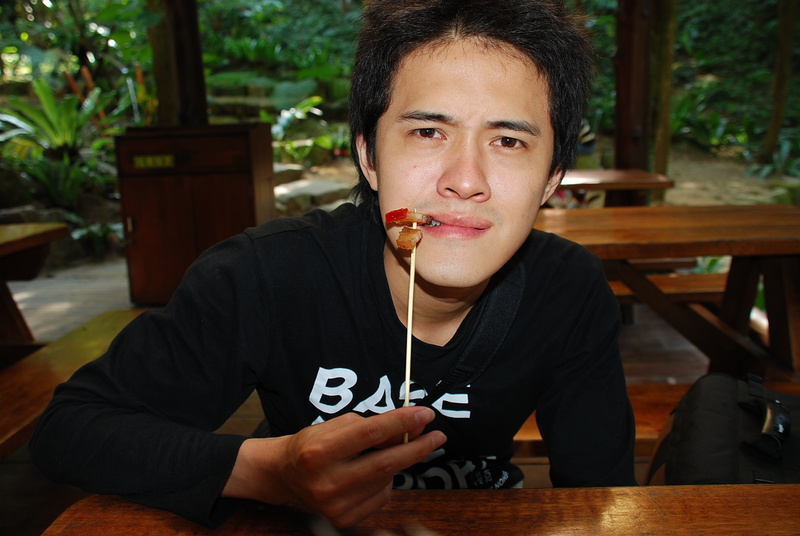 ◈南投◈ⓜ2009九族夜櫻季ⓜ