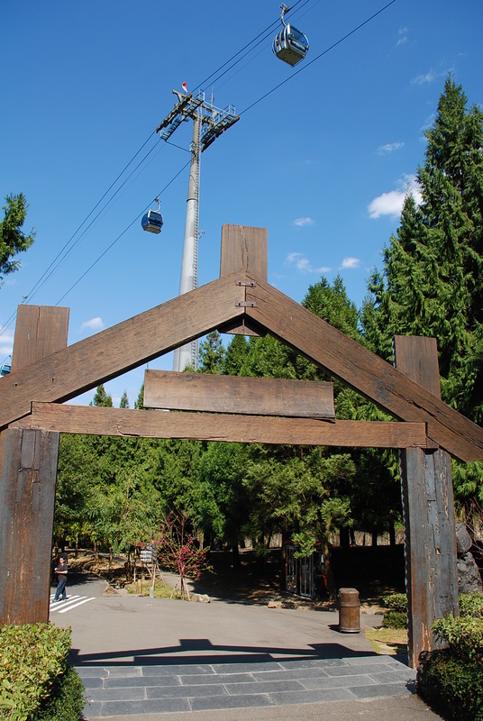 ◈南投◈ⓜ2009九族夜櫻季ⓜ