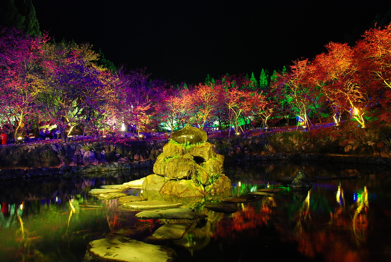 ◈南投◈ⓜ2009九族夜櫻季ⓜ