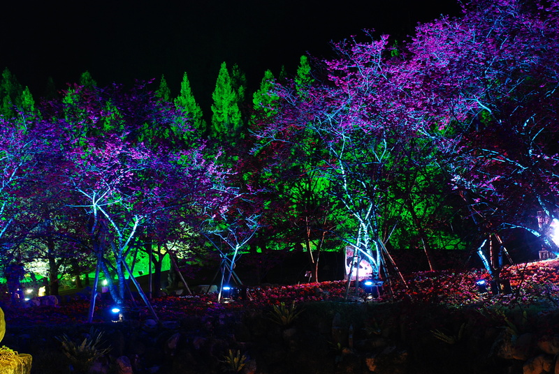 ◈南投◈ⓜ2009九族夜櫻季ⓜ