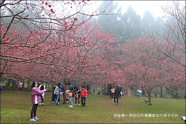 日月潭二天一夜27.jpg