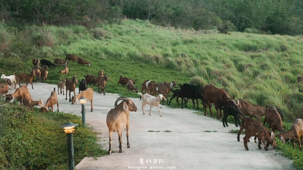 屏東小木屋民宿首選！小墾丁超像童話聚落，出門就是藍天白雲超舒服！