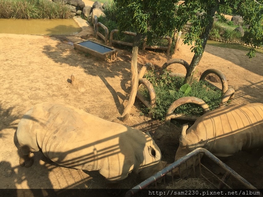 0616-0-8.jpg 0616-0-8.jpg