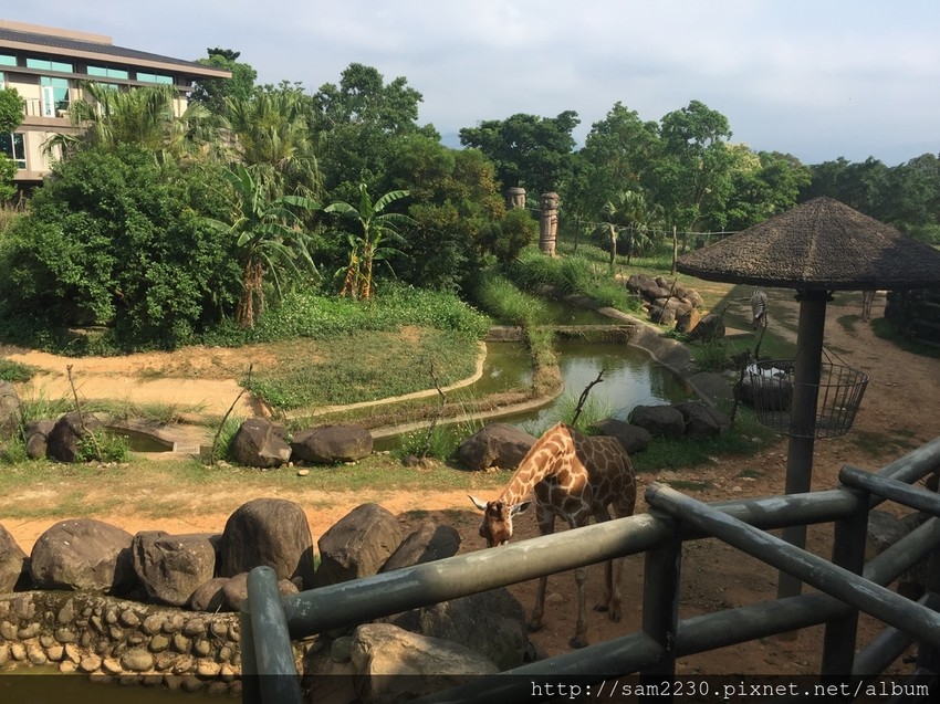 0616-0-9.jpg 0616-0-9.jpg