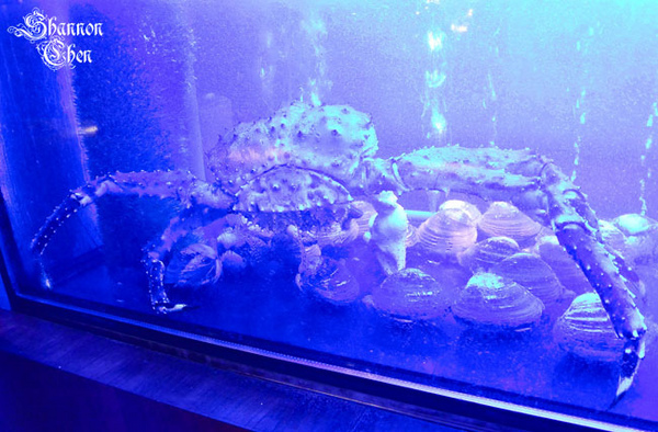 犇鐵板燒：*美食*犇鐵板燒*吃氣氛的高級鐵板燒