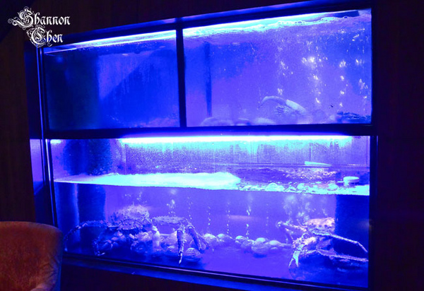 犇鐵板燒：*美食*犇鐵板燒*吃氣氛的高級鐵板燒