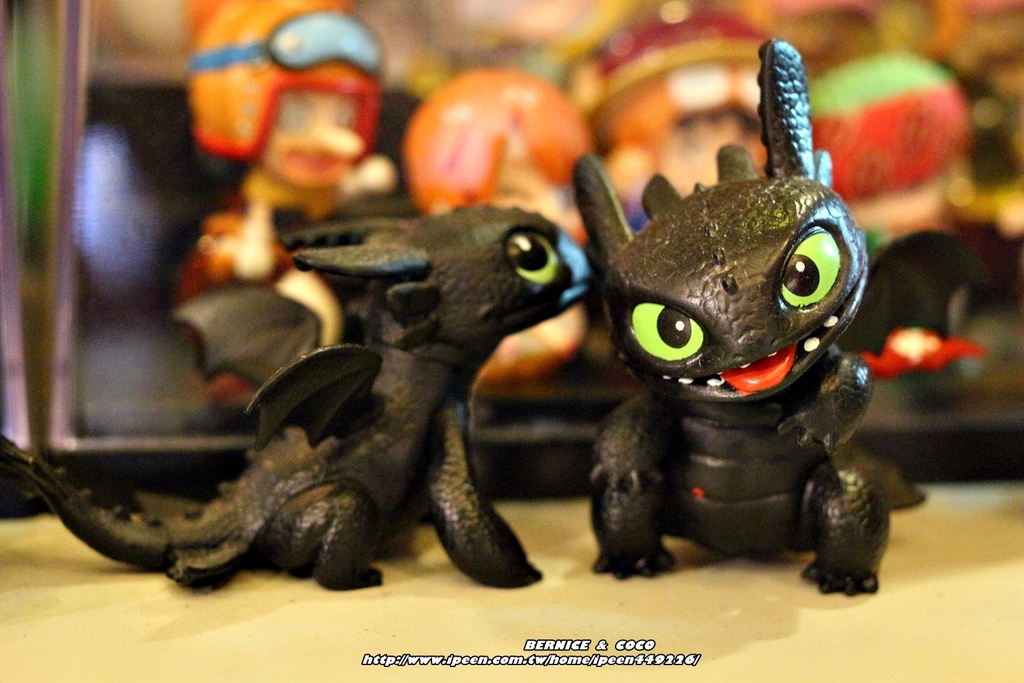 IMG_9795.JPG IMG_9795.JPG