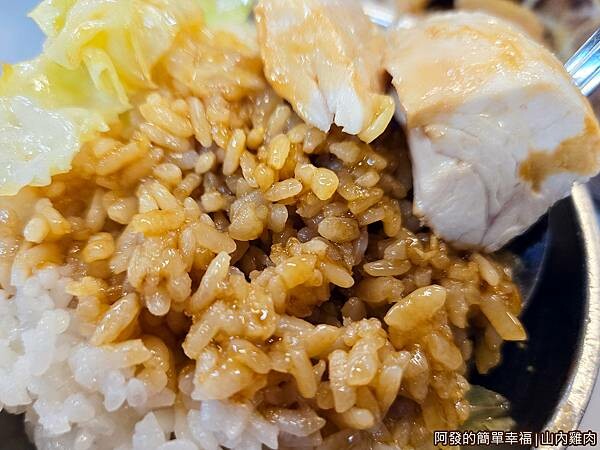 山內雞肉13-山內雞肉飯特寫.jpg