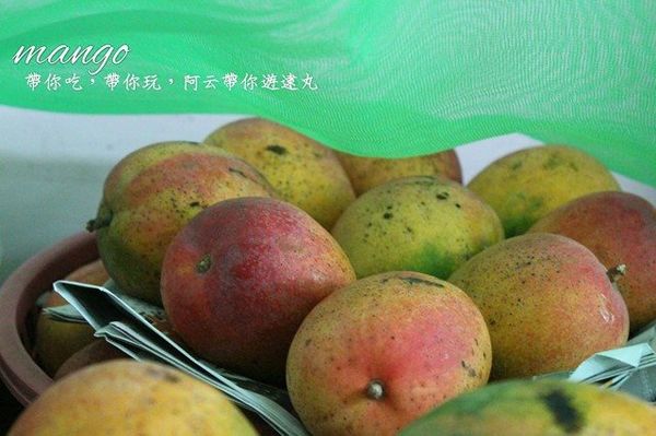 13823352_10205587275355112_134240923_n.jpg 13823352_10205587275355112_134240923_n.jpg