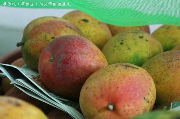 13817029_10205587275235109_788876097_n.jpg 13817029_10205587275235109_788876097_n.jpg