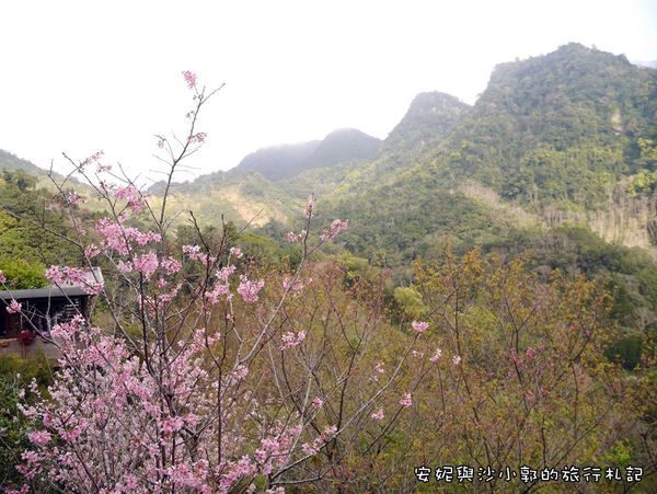 P1260245.JPG P1260245.JPG