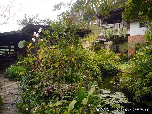 P1260201.JPG P1260201.JPG