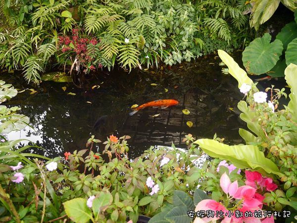 P1260202.JPG P1260202.JPG