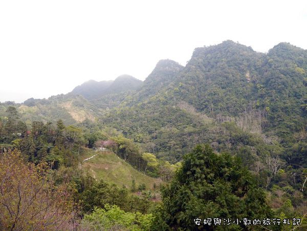 P1260221.JPG P1260221.JPG