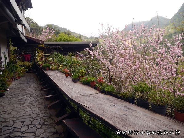 P1260212.JPG P1260212.JPG