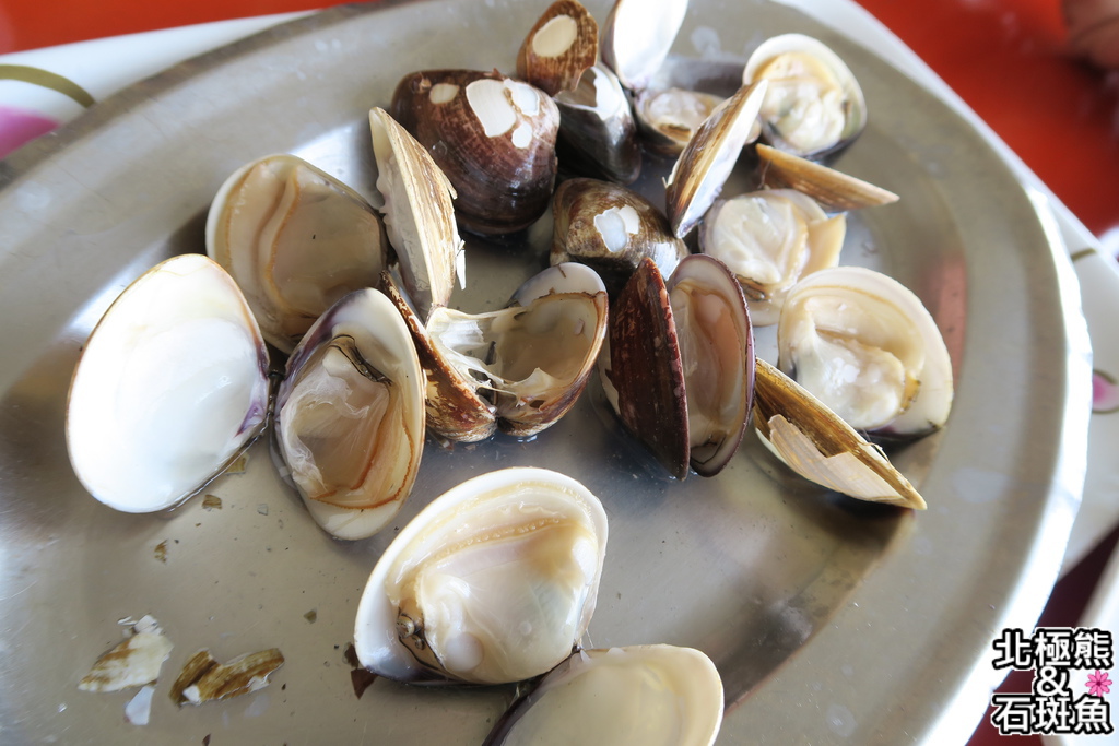 IMG_1466.JPG IMG_1466.JPG