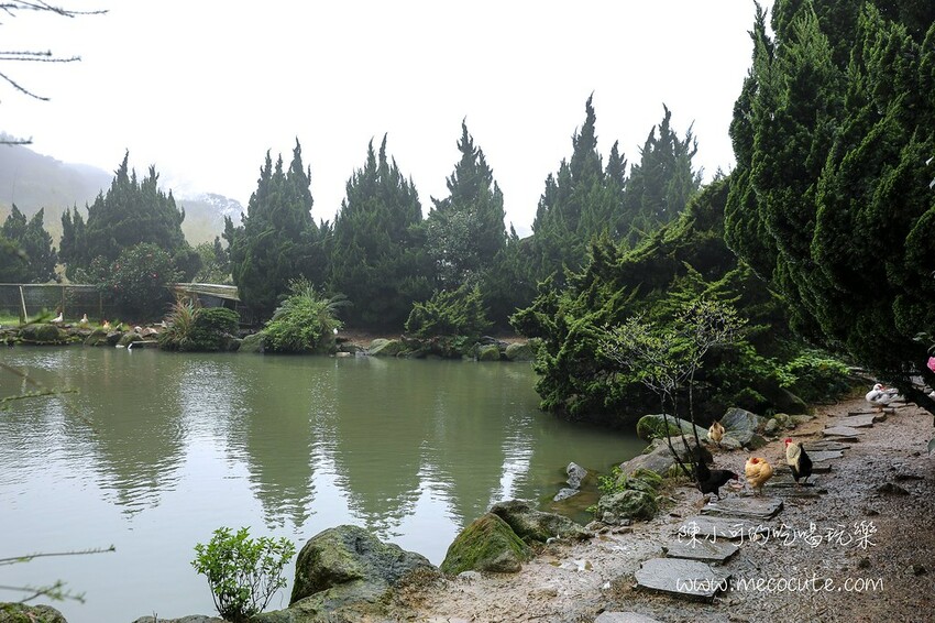 台北市北投區只賣四小時,網路推薦陽明山最好吃是這間!平日人潮大爆滿生意超好的土雞野菜推薦