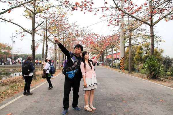 林初埤木棉花道：【台南景點】全球最美十五條花道~白河林初埤木棉花道