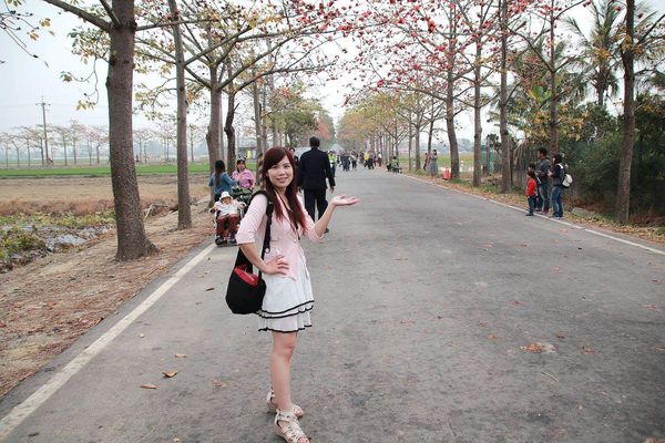 林初埤木棉花道：【台南景點】全球最美十五條花道~白河林初埤木棉花道