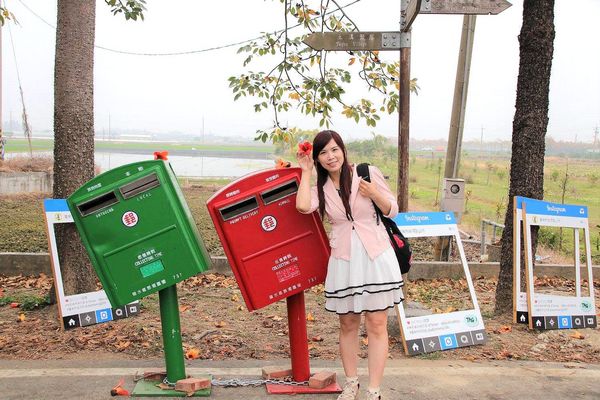 林初埤木棉花道：【台南景點】全球最美十五條花道~白河林初埤木棉花道