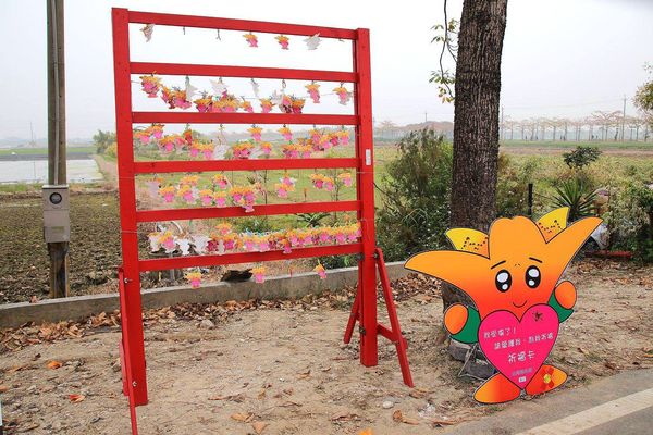 林初埤木棉花道：【台南景點】全球最美十五條花道~白河林初埤木棉花道