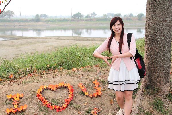 林初埤木棉花道：【台南景點】全球最美十五條花道~白河林初埤木棉花道