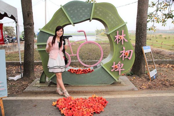 林初埤木棉花道：【台南景點】全球最美十五條花道~白河林初埤木棉花道