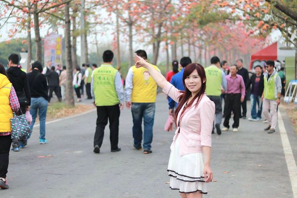 林初埤木棉花道：【台南景點】全球最美十五條花道~白河林初埤木棉花道