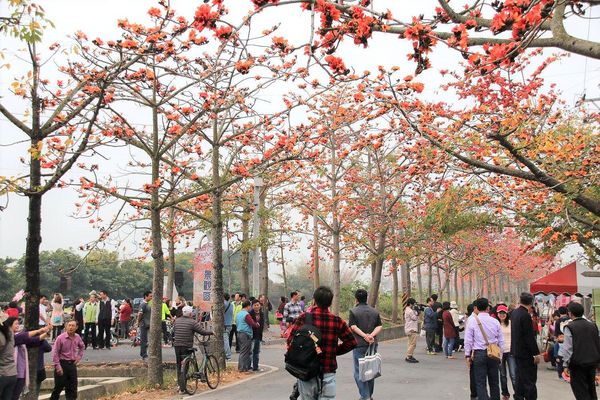 林初埤木棉花道：【台南景點】全球最美十五條花道~白河林初埤木棉花道