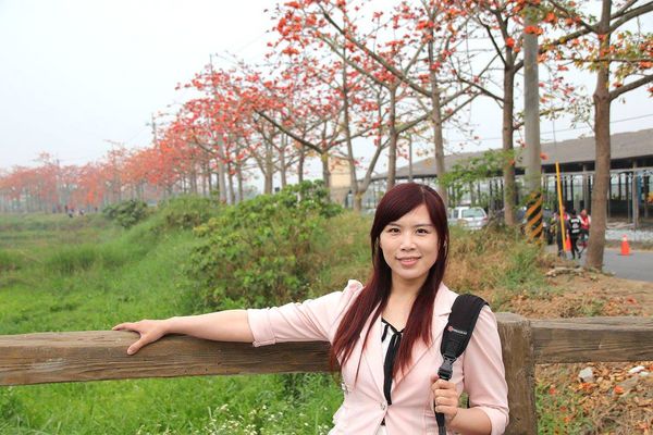 林初埤木棉花道：【台南景點】全球最美十五條花道~白河林初埤木棉花道