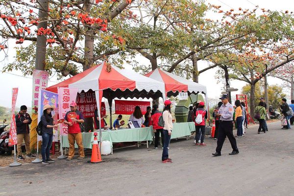 林初埤木棉花道：【台南景點】全球最美十五條花道~白河林初埤木棉花道