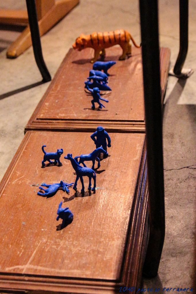 IMG_7056.jpg IMG_7056.jpg