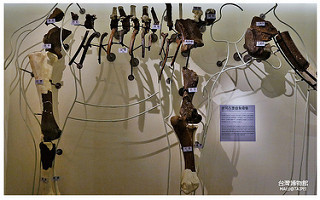 台灣博物館土銀展示館-4