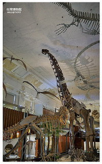 台灣博物館土銀展示館-30