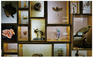 台灣博物館土銀展示館-12