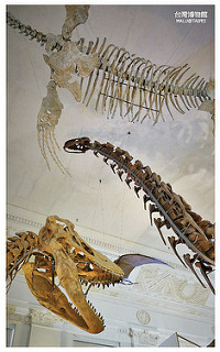 台灣博物館土銀展示館-28