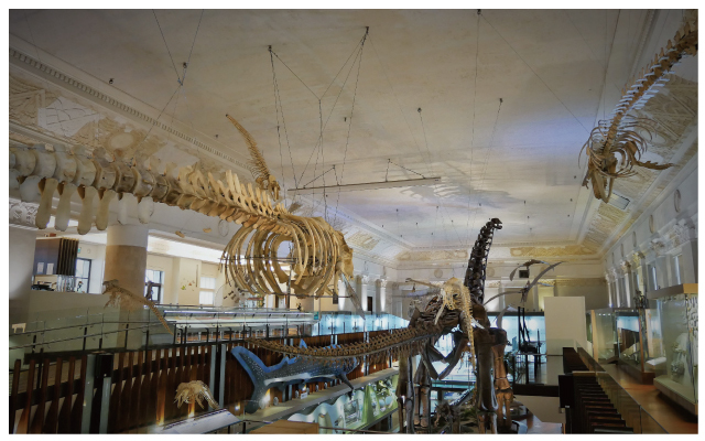 台灣博物館土銀展示館-32